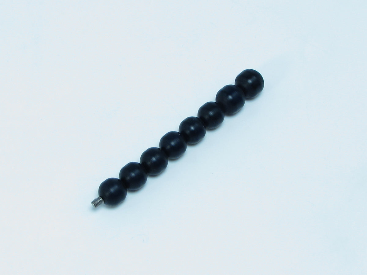 P56D Segment D