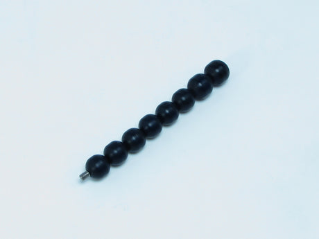 P56D Segment D