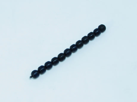 P56G Segment G